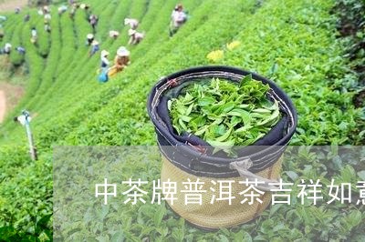 中茶牌普洱茶吉祥如意/2023062404717