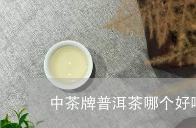 中茶牌普洱茶哪个好喝/2023100793814