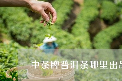 中茶牌普洱茶哪里出品/2023100891615