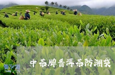 中茶牌普洱茶防潮袋/2023120551604