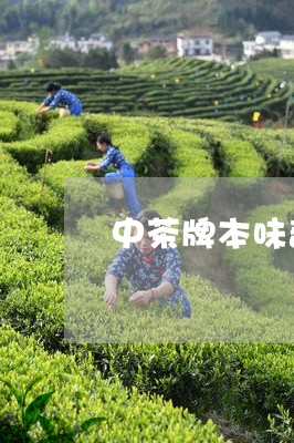 中茶牌本味普洱茶熟茶/2023100720493