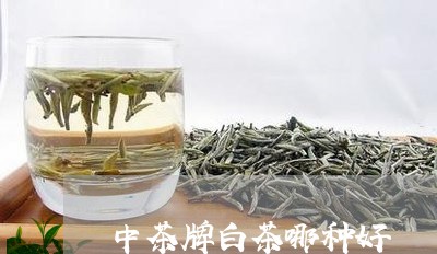 中茶牌白茶哪种好/2023061483828