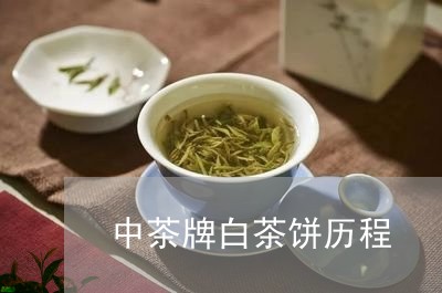 中茶牌白茶饼历程/2023061493250