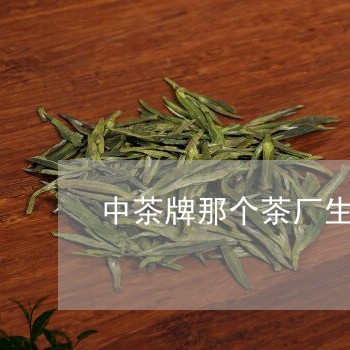 中茶牌那个茶厂生产的/2023071580694