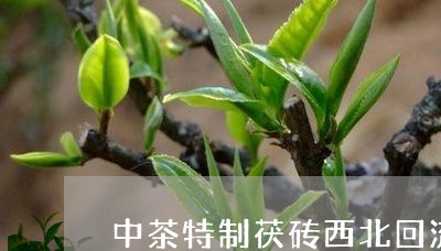 中茶特制茯砖西北回流/2023071527271