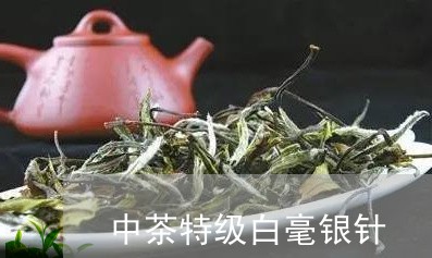 中茶特级白毫银针/2023090798414