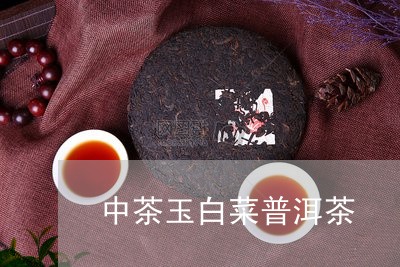 中茶玉白菜普洱茶/2023120405158