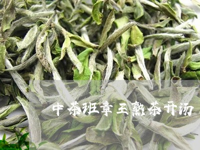 中茶班章王熟茶开汤/2023042573038