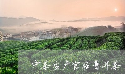 中茶生产宫庭普洱茶/2023091430581