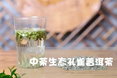 中茶生态孔雀普洱茶/2023070931795