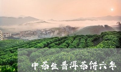 中茶生普洱茶饼六年/2023091538295