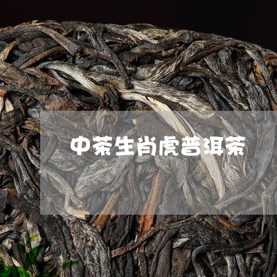 中茶生肖虎普洱茶/2023120496260