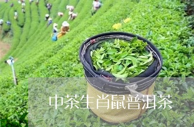 中茶生肖鼠普洱茶/2023082871828