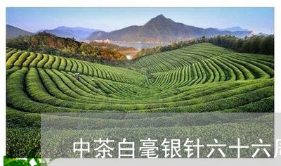 中茶白毫银针六十六周年/2023092376147