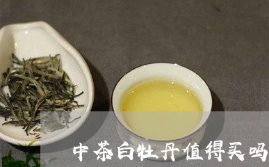 中茶白牡丹值得买吗/2023120681483