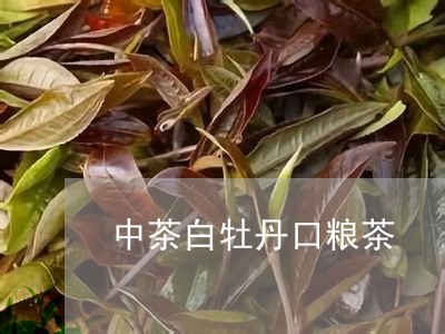 中茶白牡丹口粮茶/2023061450482