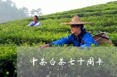 中茶白茶七十周年/2023061449482