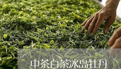 中茶白茶冰岛牡丹/2023061426370