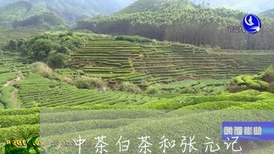 中茶白茶和张元记/2023061471827