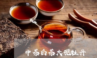 中茶白茶大观牡丹/2023061436838