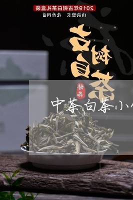 中茶白茶小饼/2023051229580