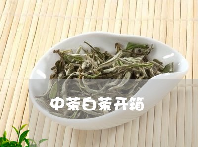 中茶白茶开箱/2023051296350