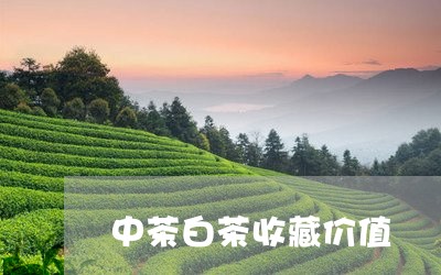 中茶白茶收藏价值/2023061436462