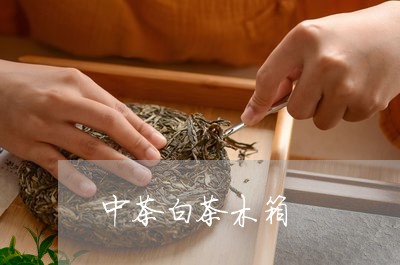 中茶白茶木箱/2023051297260