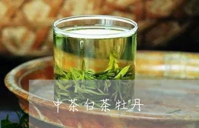 中茶白茶牡丹/2023051229372