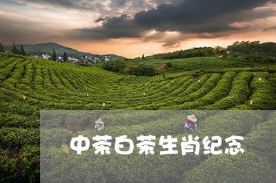 中茶白茶生肖纪念/2023061416382