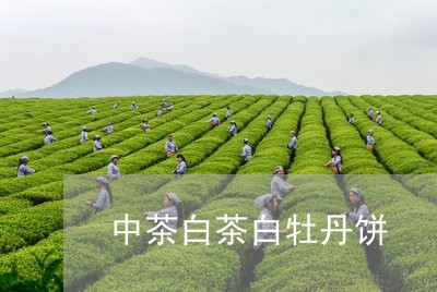 中茶白茶白牡丹饼/2023061439715