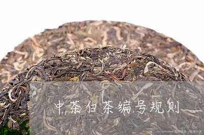 中茶白茶编号规则/2023061452260