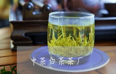 中茶白茶茶厂/2023051291602