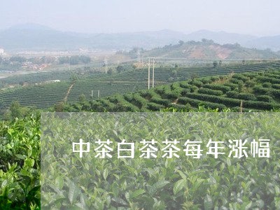 中茶白茶茶每年涨幅/2023071439562