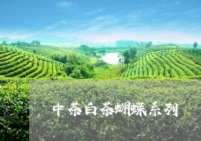 中茶白茶蝴蝶系列/2023061413815