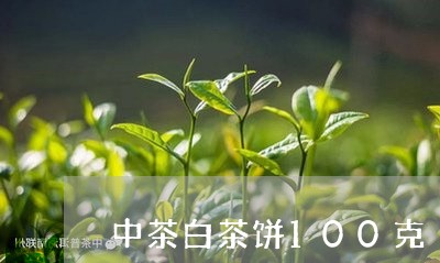 中茶白茶饼100克/2023121320482