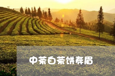 中茶白茶饼寿眉/2023112507271