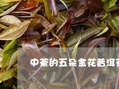 中茶的五朵金花普洱茶/2023073173836