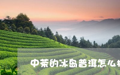 中茶的冰岛普洱怎么样/2023092522927