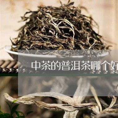 中茶的普洱茶哪个好一点/2023102424482