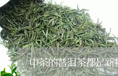 中茶的普洱茶都是新货/2023100823148