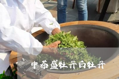 中茶盛牡丹白牡丹/2023061456039