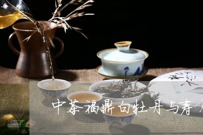 中茶福鼎白牡丹与寿眉/2023120942604