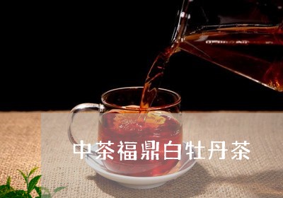 中茶福鼎白牡丹茶/2023061485470