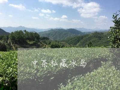 中茶私藏冰岛/2023090772846