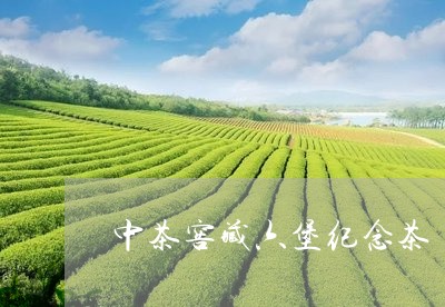 中茶窖藏六堡纪念茶/2023042502836