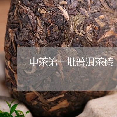 中茶第一批普洱茶砖/2023042984250