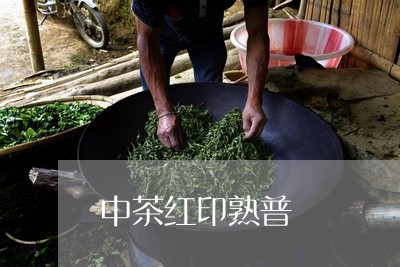 中茶红印熟普/2023090772704