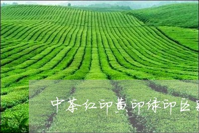 中茶红印黄印绿印区别/2023071540692