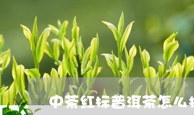 中茶红标普洱茶怎么样/2023062250713